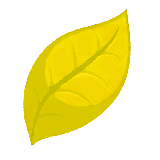 Level 2