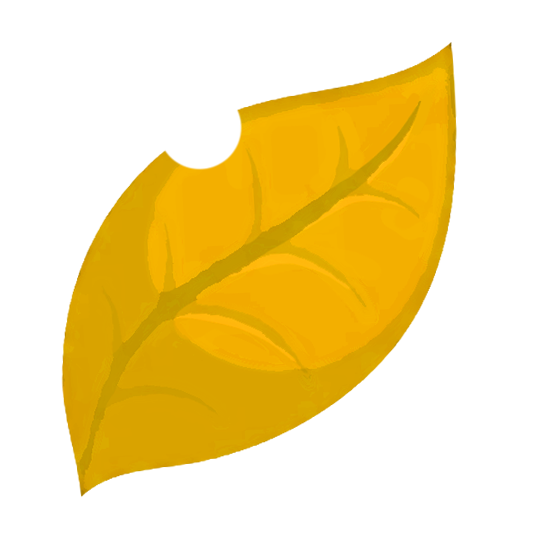 Level 3